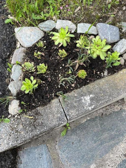 La Casetta Delle Nuvole Mazzo di Valtellina 외부 사진
